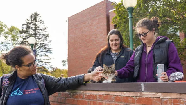 La única universidad de Estados Unidos que otorgó un título honorífico a un gato: 