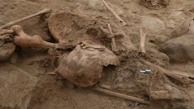  El Ministerio de Cultura halló 11 restos óseos en el Complejo Arqueológico Chan-Chan (PECACH). Foto: Plataforma del Estado peruano.   