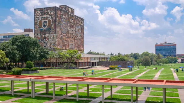  La UNAM ofrece 133 licenciaturas e ingenierías. Foto: El Cronista   