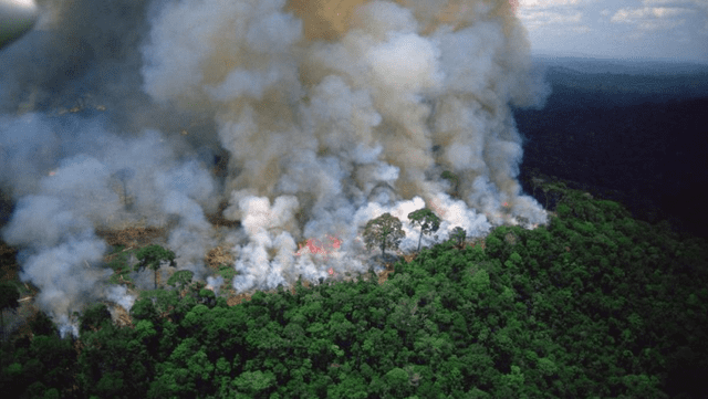 Región de Loreto es una de las más afectadas por los diferentes incendios forestales. Foto: Difusión   