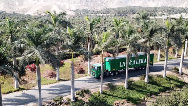  La Calera es empresa familiar que produce huevos en Chincha. Foto: La Calera   