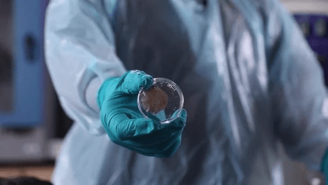  Una prueba de ADN fue clave para descifrar el caso. | Oficina del Sheriff del Condado de Broward<br>&nbsp;(BSO)    