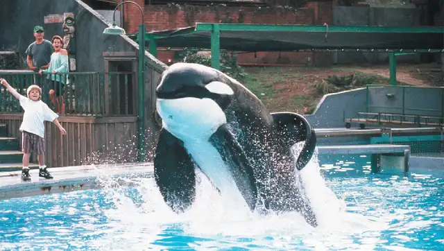 Willy debutó en una película durante su estancia en México. (Foto: IMDB)