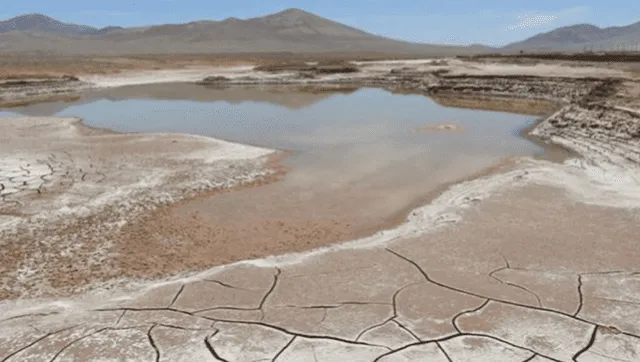 Atacama: los microbios del desierto más árido mueren por las primeras lluvias en 500 años