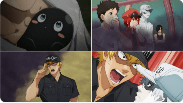 Hataraku Saibou. Foto: Aniplex