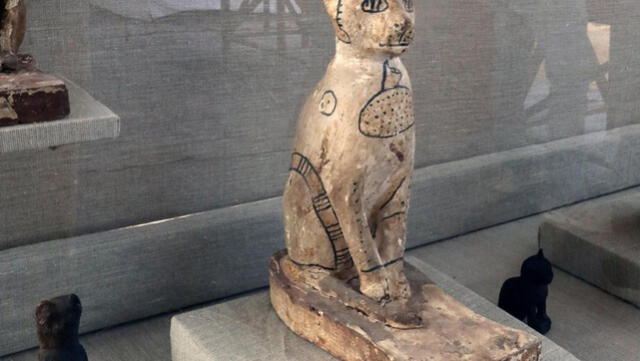 Arqueólogos descubren gatos y escarabajos momificados en necrópolis egipcia [FOTOS]