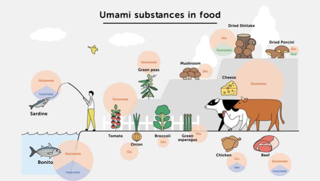  Productos en los que se encuentra el umami. Foto: Ajinomoto Perú  