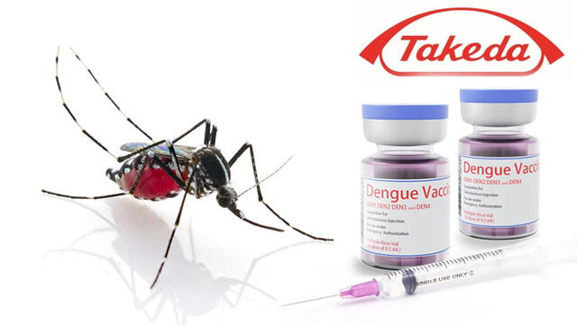 La japonesa elaboró una vacuna contra el dengue basada en una versión debilitada del virus. Foto: PM Farma   