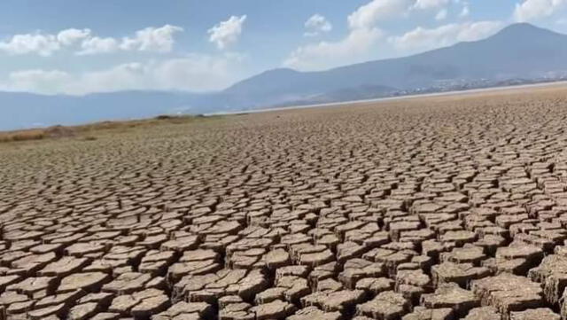 Así se aprecia el Lago de Pátzcuaro tras la sequía de lluvias. Foto: X   