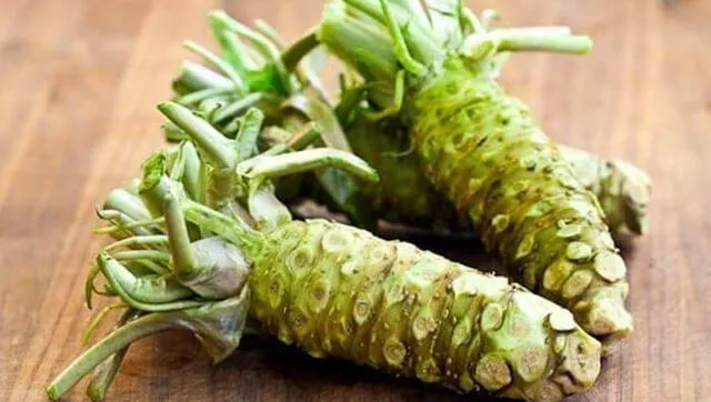 wasabi planta