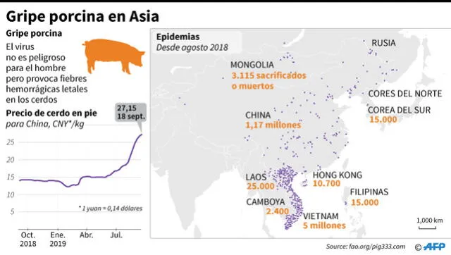 Mapa que muestra las regiones de Asia en donde millones de cerdos fueron sacrificados por la epidemia de gripe porcina africana. Infografía: AFP