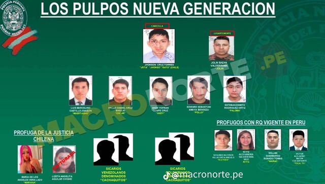 Nueva organización criminal de Los Pulpos. Foto: PNP   