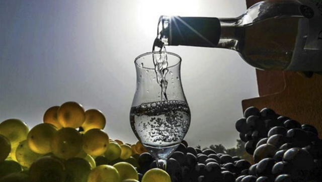 En 2023, el pisco fue seleccionado como una de las 20 bebidas espirituosas más destacadas del mundo. Foto: Forbes En 2023, el pisco fue seleccionado como una de las 20 bebidas espirituosas más destacadas del mundo. Foto: Forbes