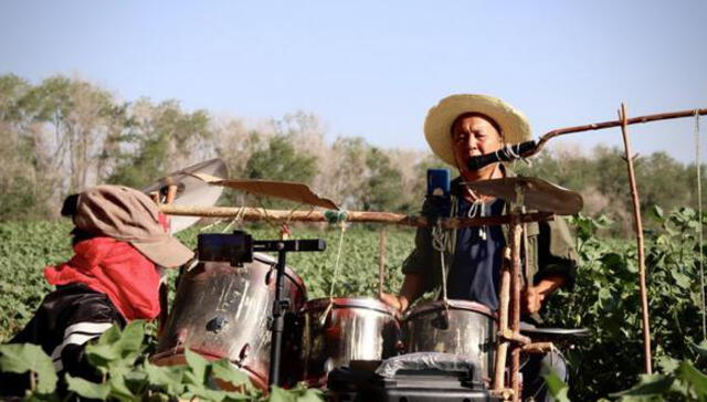 Agricultor de algodón mezcla su trabajo con su pasión por tocar la batería