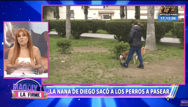 Ana Jara aboga por los perros de Diego Bertie tras presunto abandono: “Ellos también sufren”