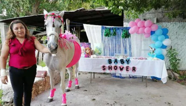 Camila, la yegua que tuvo una fiesta de baby shower organizada por su ‘familia’ mexicana