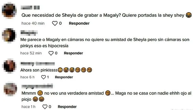  Usuarios de las redes sociales cuestionan la amistad de la 'Urraca' y 'Shey Shey'. Foto: captura TikTok   