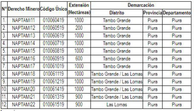 Lista de los 21 derechos mineros autorizados a Nuevo Arcoiris SAC. Foto: Captura