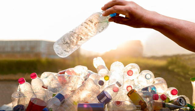 El reciclaje de las botellas de plástico puede ayudar al medio ambiente. Foto: Leisa-al.org 