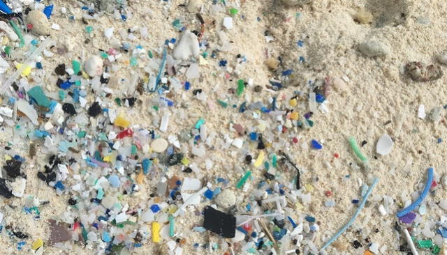 Toneladas de plástico halladas en una isla del fin del mundo [FOTOS]