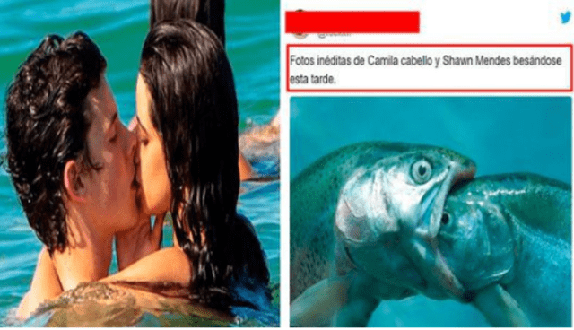 Memes del beso de Memes del beso de Camila Cabello y Shawn Mendes