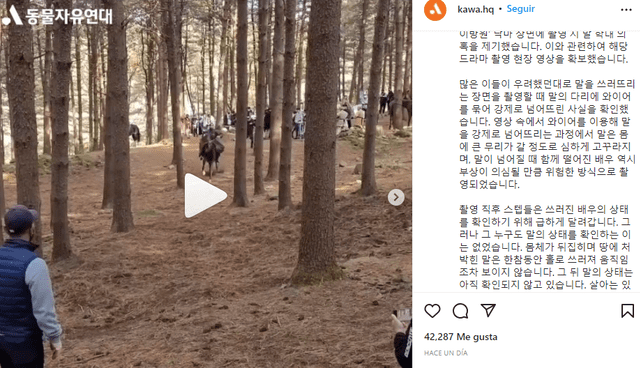 The king of tears, KBS, caballo