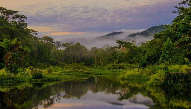 parque nacional de manu