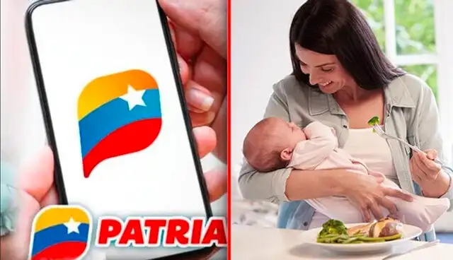 El Bono Lactancia Materna y Parto Humanizado comparten el mismo monto. Foto: composiciónLR   