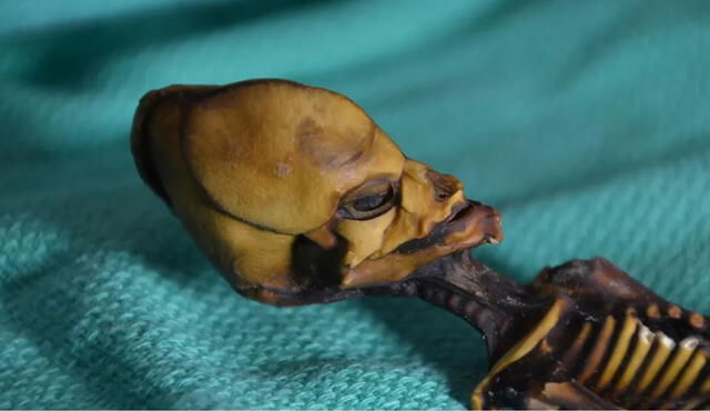 momia extraterrestre de Atacama | Ata | aliens | Chile