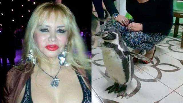 Susy Díaz fue duramente criticada al posar con animal usado como atractivo de restaurante