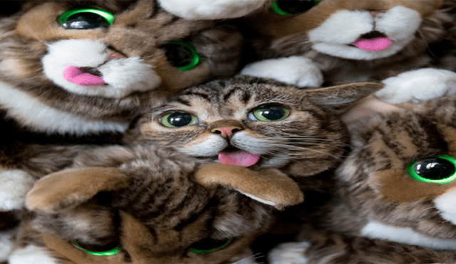 Se llegaron a vender peluches de la famosa gatita. Fuente: Facebook.