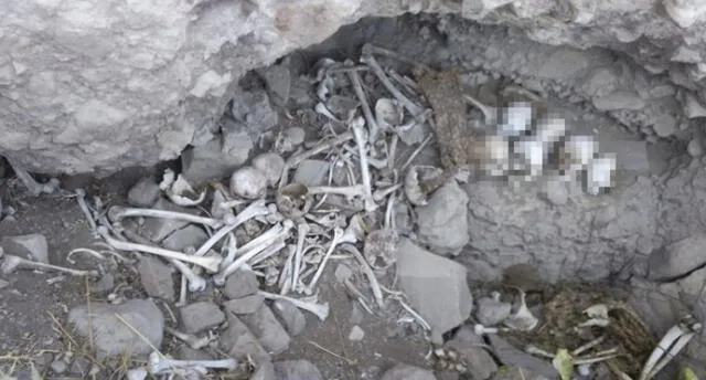 Descubren cementerio inca en zona ocupada por agricultores en Arequipa
