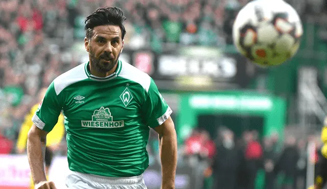 Claudio Pizarro: Betsson crea una cuota por si el delantero anota en el Werder Bremen vs. Heidenheim.