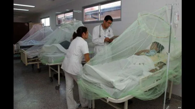 Lambayeque reporta segundo caso autóctono de dengue