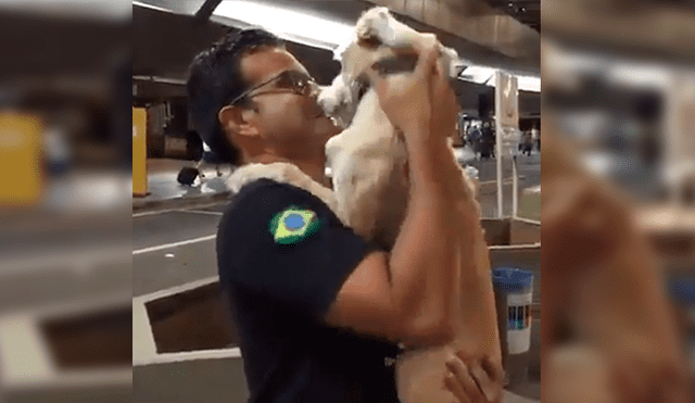 En Facebook, un joven tuvo un amoroso reencuentro con su perro que lo esperaba ansioso en el aeropuerto.