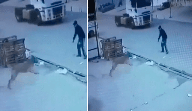 Facebook viral: hombre rescata a perro que iba a ser atropellado por enorme trailer [VIDEO]