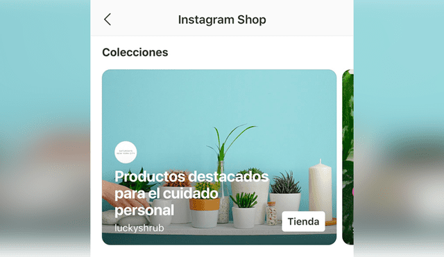 Las secciones de Instagram Shop en perfil serán siempre diferentes.