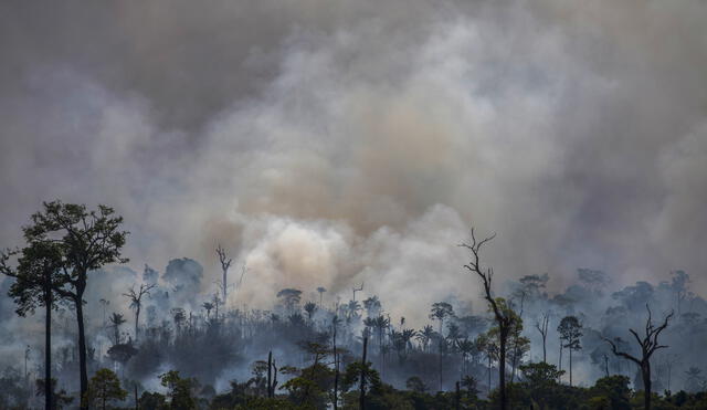 - AFP PICTURES OF THE YEAR 2019 - 

Smokes rises from forest fires in Altamira, Para state, Brazil, in the Amazon basin, on August 27, 2019. - Brazil will accept foreign aid to help fight fires in the Amazon rainforest on the condition the Latin American country controls the money, the president's spokesman said Tuesday. (Photo by Joao Laet / AFP)