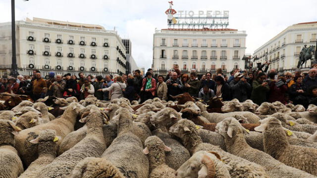 El evento atrajo un gran público en el centro de Madrid.