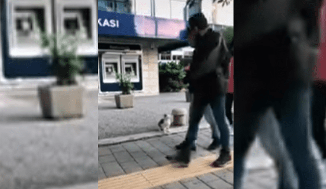 Video es viral en Facebook. Transeúnte grabó la peculiar conducta del felino cada vez que veía a alguien pasar.