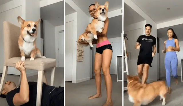 Desliza hacia la izquierda para ver los ejercicios que hizo un perro con sus amos en cuarentena. Video viral de YouTube.