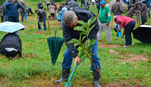 Etiopía siembra más de 350 millones de árboles en campaña nacional. Foto: Twitter/@UKinEthiopia