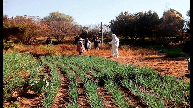 El hallazgo se realizó en las inmediaciones de un cultivo. Fuente: Red Uno.