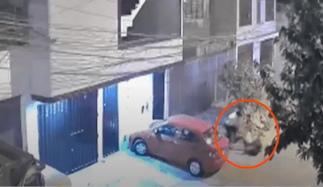 Cámaras de seguridad de una calle en Carabayllo registraron el momento. VIDEO: Ámerica Noticias