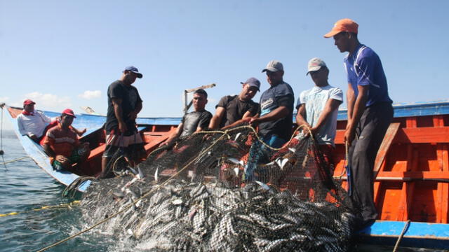Industria pesquera debe subir aporte para pensión del pescador
