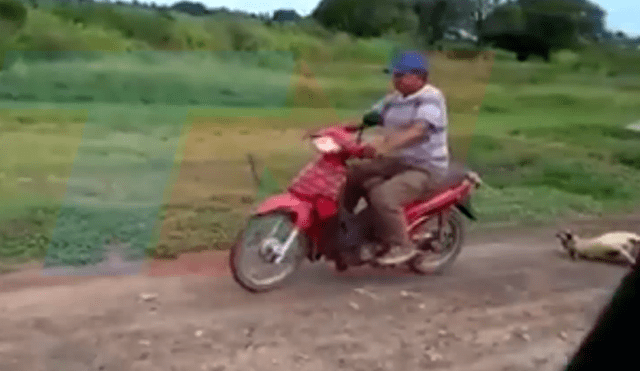 Argentina: hombre en moto es captado arrastrando a un perro [VIDEO]