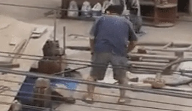 Maltrato animal: sujeto es grabado golpeando a sus perros con un palo [VIDEO] 