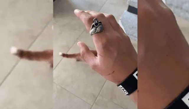 Video es viral en Facebook. Joven grabó la furiosa reacción que tuvo el felino cuando intentó acercarse a su nueva guarida.