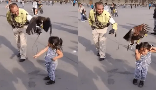 Facebook viral: niña intenta tomarse foto con un águila y se lleva el susto de su vida [VIDEO]