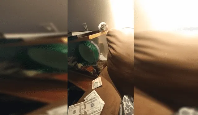 YouTube Viral: Rata roba dinero a dueño y lo esconde en su jaula [VIDEO]